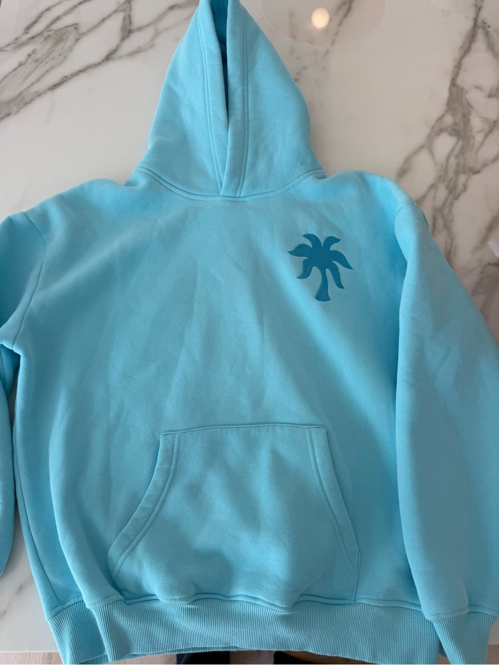 Pink Palm Puff Hoodie-Teal, XS